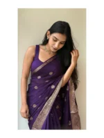 Fancy Silk Saree