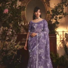 Fancy Designer Sarees