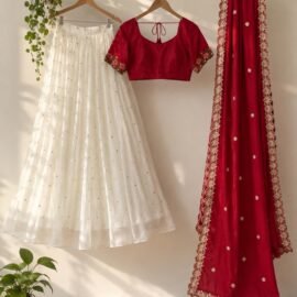 Stylish Lehenga Choli