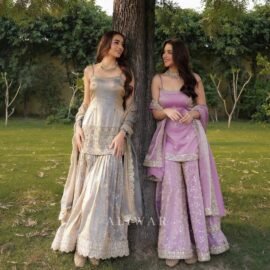 sharara Suit